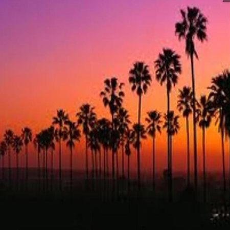 Venice Beach Apartments Monthly Rents Los Angeles Exteriör bild