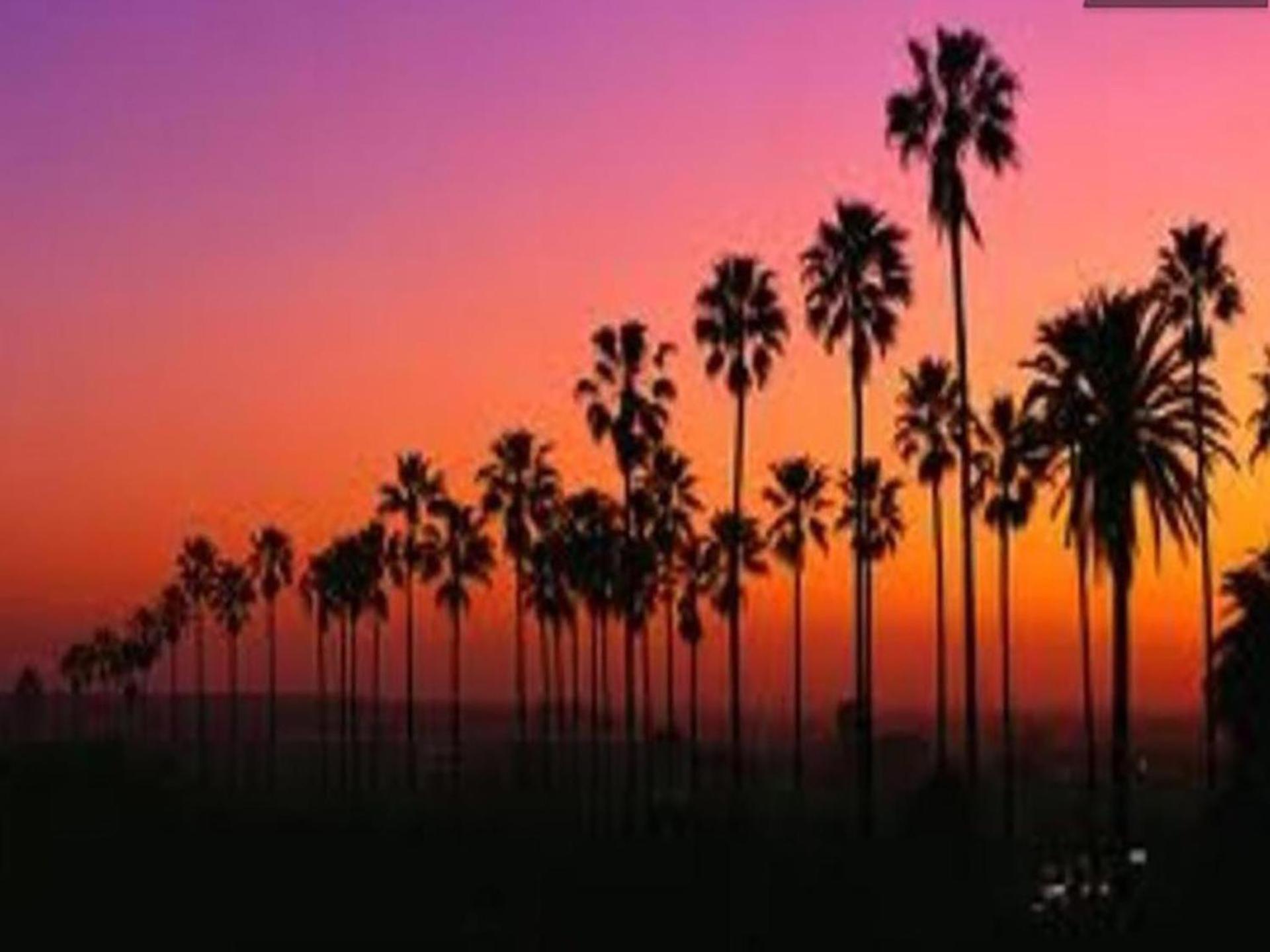 Venice Beach Apartments Monthly Rents Los Angeles Exteriör bild